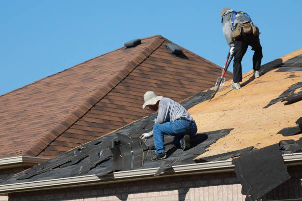 Best Roof Coating and Sealing  in King George, VA